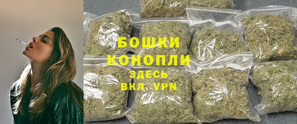 мдпв Волосово